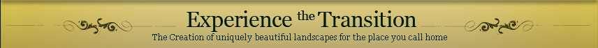 Experience the Transition
