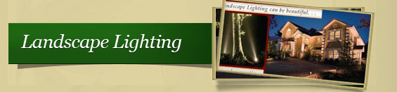 landscape lighting