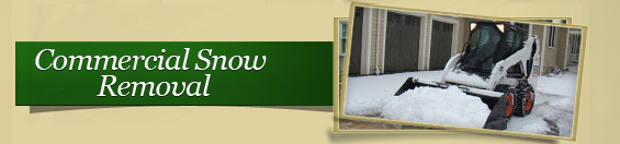 commercial snow